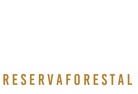 Logo-en-blanco-AME
